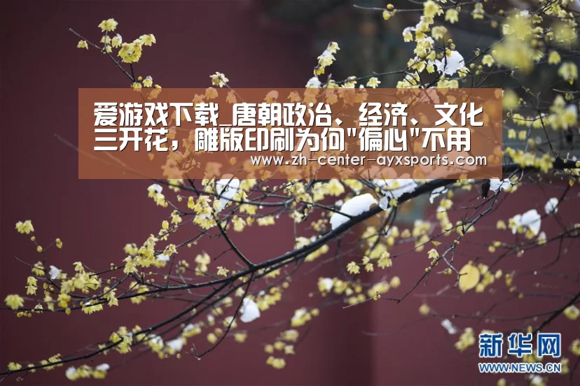 爱游戏下载_唐朝政治、经济、文化三开花,雕版印刷为何偏心不用来印书籍?(图4) APP入口