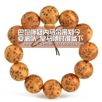 APP入口