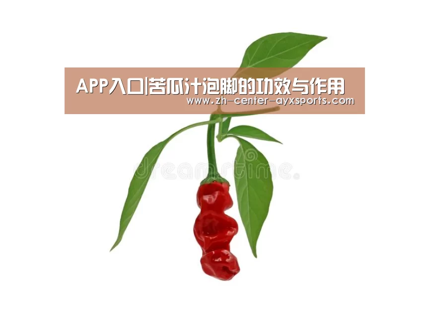 爱游戏下载