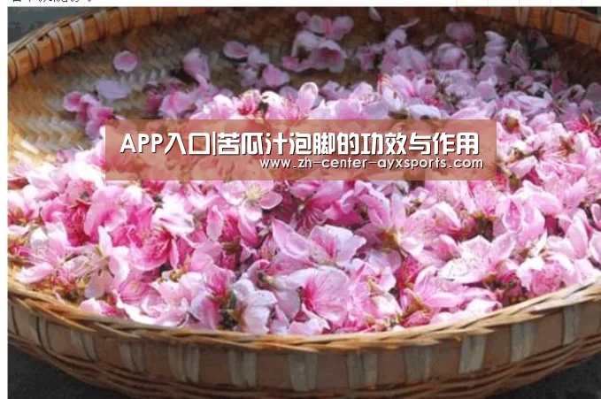 APP入口